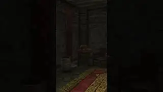 The One Skyrim Mod Every Player NEEDS