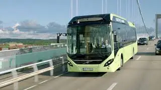What is Drive Sustainability?