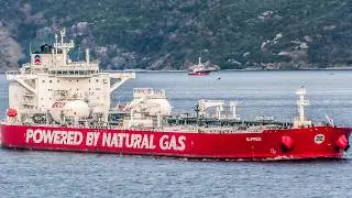 Ships in Istanbul Strait 🇹🇷 - 2024 Ship Spotting (Part 3)