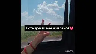 🌵Пой эту песню если речь идёт о тебе🌵( посмотри прошлое видео💓)