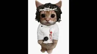 NOT LIKE US (CAT AI) but it's just my voice