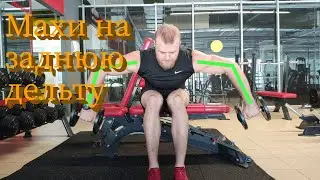 Махи сидя на заднюю дельту. Махи гантелями в наклоне. Техника выполнения