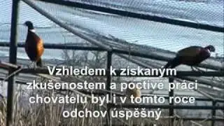 Zahájení lov.sezony 2009_0001.wmv