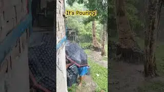 I like it when it rains. #life in #province