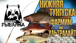 Русская рыбалка 4. Нижняя тунгуска. Фармим на ультралайт 