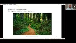 Базовые идеи НЛП