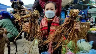 Khám Phá Chợ Phiên Mộc Mạc Bán Toàn Đặc Sản Núi Rừng Tây Bắc | Dấu Chân Vùng Cao