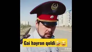 Gai hayron qoldi🤣😂
