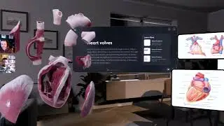 Complete HeartX - an immersive journey through the heart!