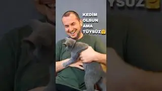 KEDİM OLSUN AMA TÜYSÜZ 🤗  / Kerem Önder
