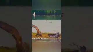 Битва орла за выживание.