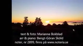 VID DAGENS SLUT