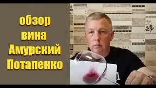 Обзор вина Амурский Потапенко. Какое вино из винограда Амурский Потапенко.