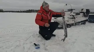 УТРО НА ИЗБУШКЕ. ОЗЕРО ДАРИТ НАСТРОЕНИЕ!!!