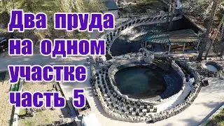Два пруда на одном участке (часть5)