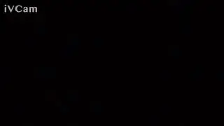 tatami1