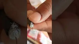 connector lagana ka asaan tareeka