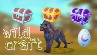 Открываем сундуки,  ключи,  яйца wild craft