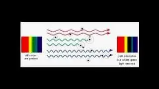 Absorption