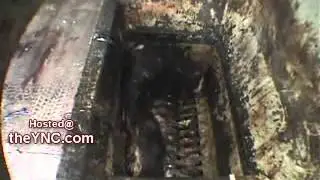 любишь колбасу;СМОТРИ что ты ЕШЬ