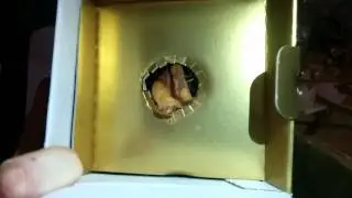 Золотой анус
