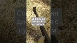 Когда у тебя пулемёт