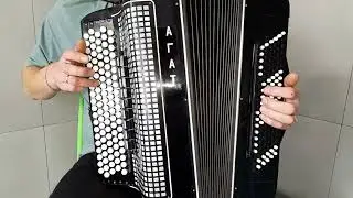 Bayan Converter Button Accordion, Double Cassotto Free Bass Stradella, Agate Professional Accordion