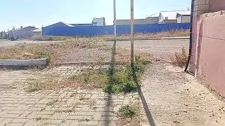 Ам жалау ❤️ қотақ сору болды