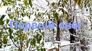 Первый снег
