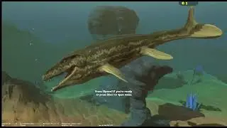 Большая рыбка