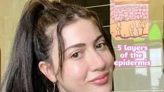 All about your skin’s outermost layer