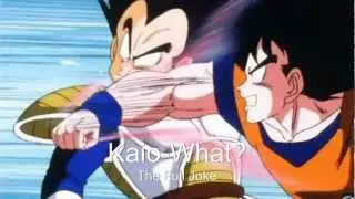 Dragonball Z Abridged Jokes - Kaio-What?