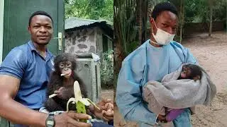 Dr.  Jonas Lola ya Bonobo Sanctuary