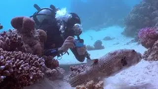 Underwater Filmmaking Course Egypt Vlog Day 5!