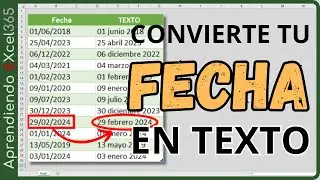 Como Pasar una Fecha a Texto en Excel #funciones