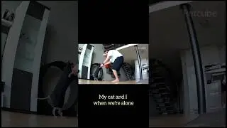 The dark side of every cat parent 🫣