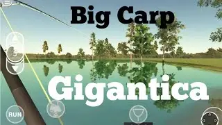 Carp Fishing Simulator Gigantica 2019 - How to catch big carp