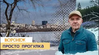 Воронеж, 23 02 24 г  просто прогулка