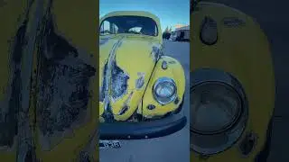 VW Beetle ´57 Oval Window  #vwbeetle #vwescarabajo #fusca #vocho
