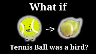 bfdi but tennis ball is a bird (and badly made on discord)