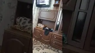 12 июня 2024 г.
