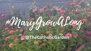 Mary Garden Grow-A-Long Spring 2023
