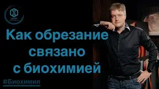 Как обрезание связано с биохимией..
