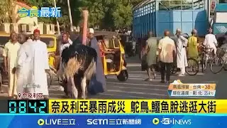 水壩氾濫洪水淹入城 上萬居民流離失所 奈及利亞暴雨成災 鴕鳥.鱷魚脫逃逛大街 動物園8成動物死於洪災 鱷魚出逃居民擔憂│記者 黃瓊慧│【國際焦點】20240911│三立新聞台