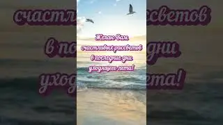 С Добрым Утром! Счастливого Дня! ❤🌺#доброеутро #shorts