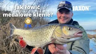 JAK ZŁOWIĆ KLENIA NA FEEDER - taktyka, sprzęt i medalowe ryby!