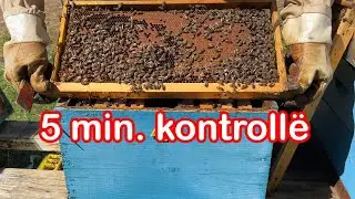 🔴Episodi 30: Si të kontrollojmë kosheren për 5 minuta