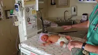 The Newborn Exam: Introduction & Vital Signs - Newborn Capstone