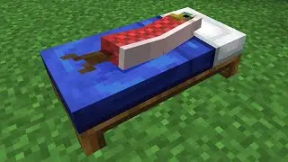 Minecraft... men jag förvandlas var 30 sekund!