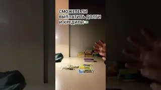17 октября 2024 г.